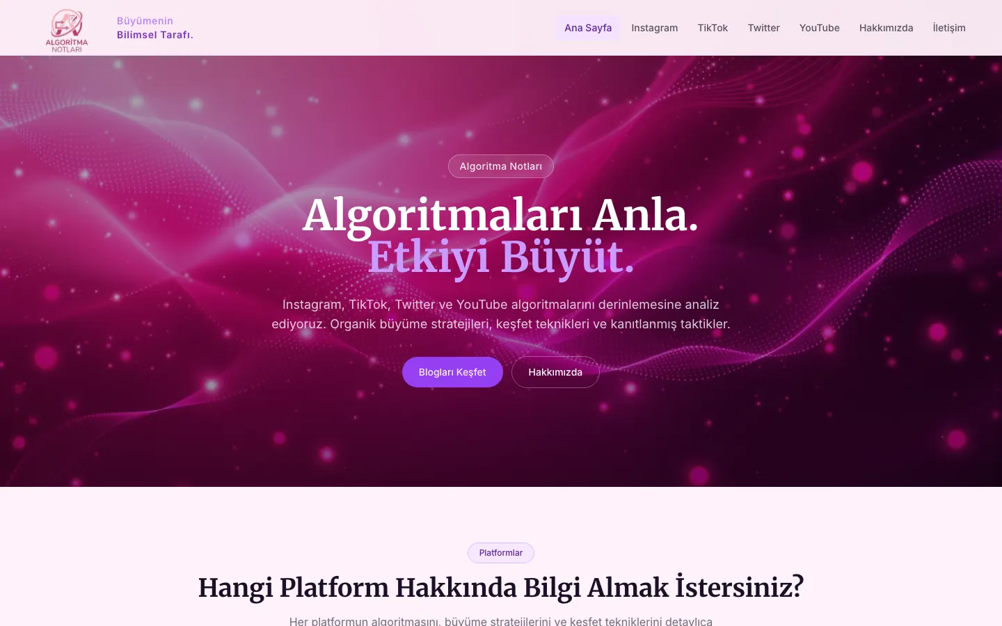 Algoritma Notları: web sitesi görünümü